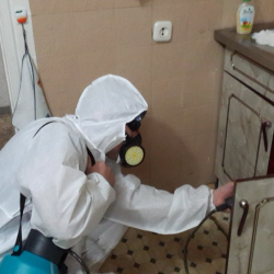 Дезинфекция от муравьев в квартире Обводный канал 1 метро Спб